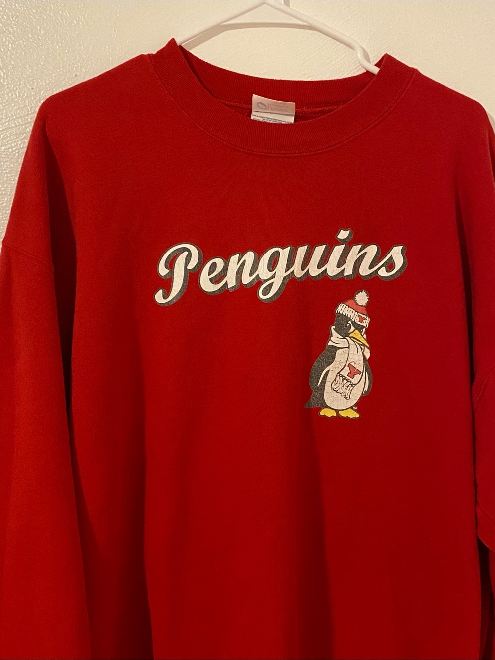 Y2K Youngstown State University Penguins Sweatshirt